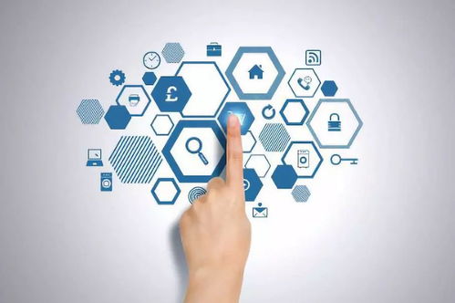 健康管理與咨詢 掌握科學(xué)方法，擁抱優(yōu)質(zhì)生活